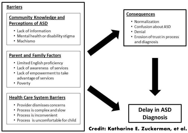 Flowchart graphic. Reads: Barriers: Community Knowledge and Perceptions of ASD, Parent and Family Factors, Health Care System Barriers -> Consequences-> Delay in ASD Diagnosis